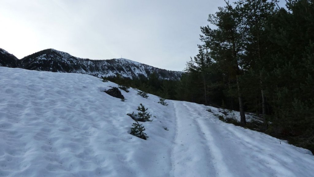 raquette_cordoeil_2012_018.jpg