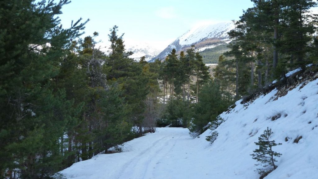 raquette_cordoeil_2012_040.jpg
