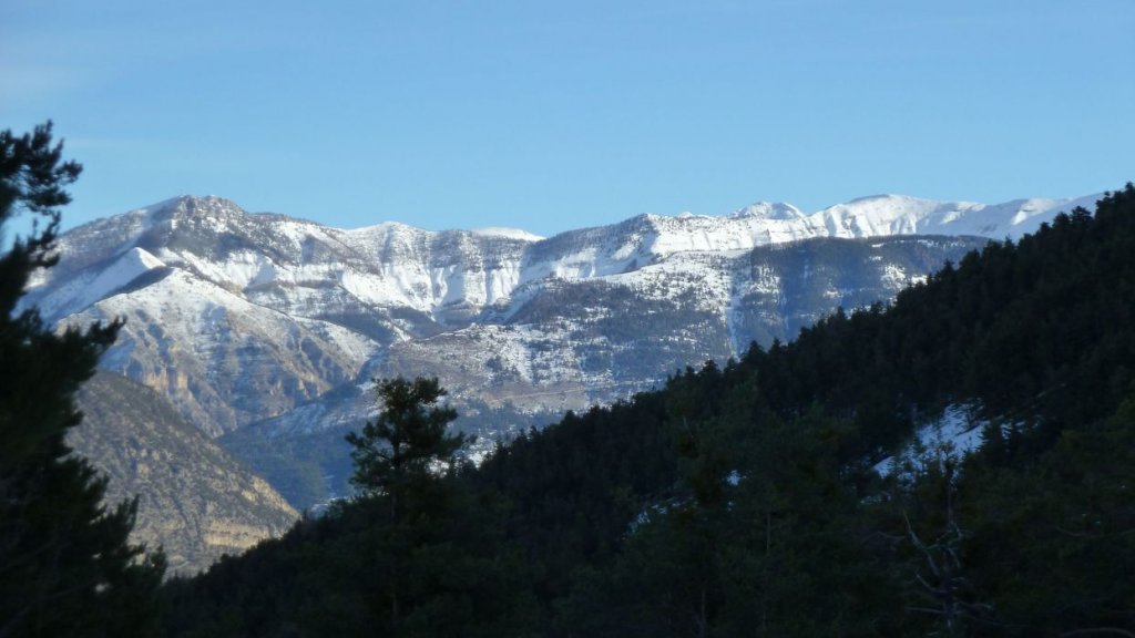 raquette_cordoeil_2012_058.jpg