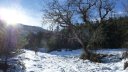 raquette_cordoeil_2012_094.jpg