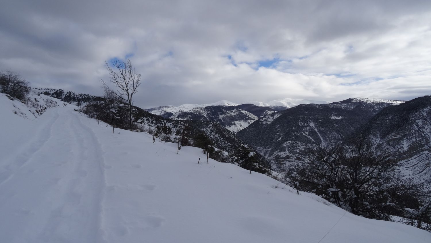 fontblanche_janv_2021_011.JPG