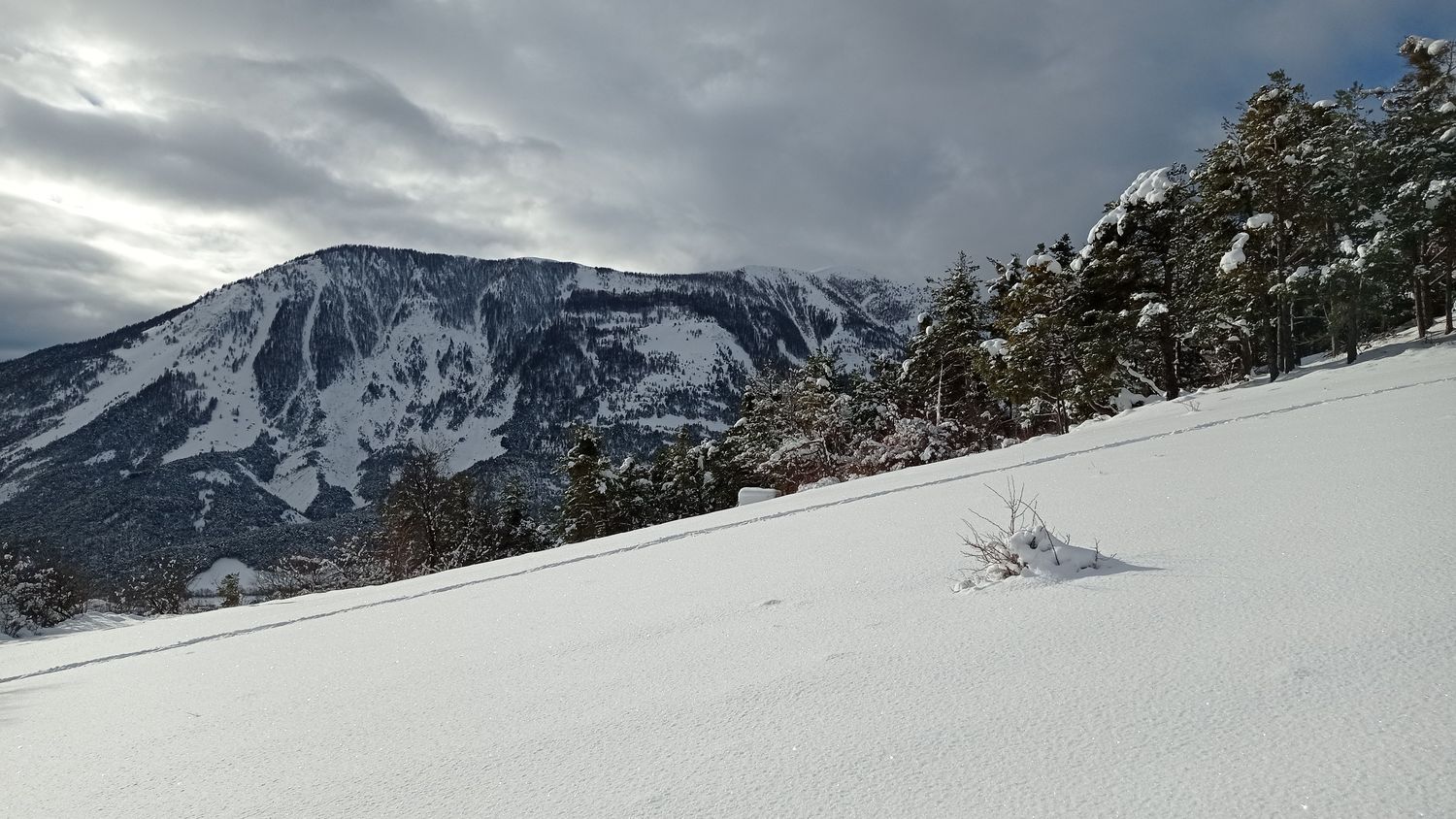 fontblanche_janv_2021_018.jpg