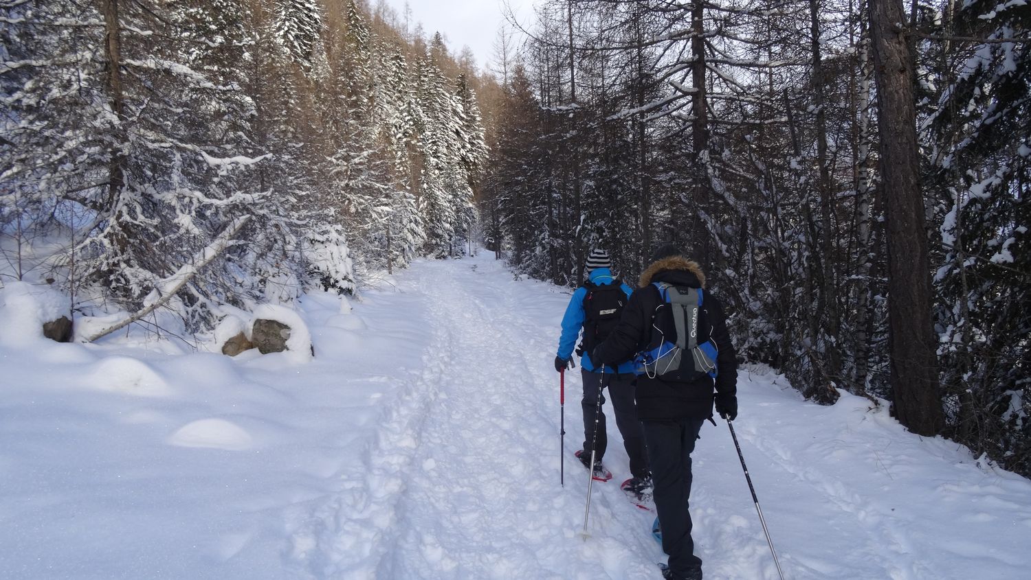 mlouise_dec_2020_004.JPG