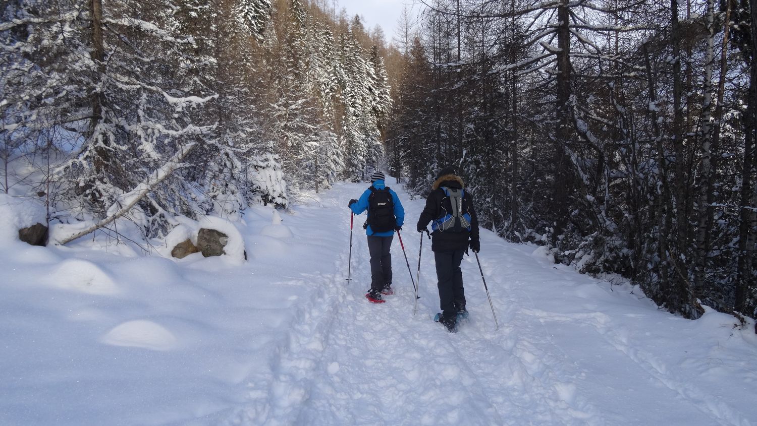 mlouise_dec_2020_005.JPG