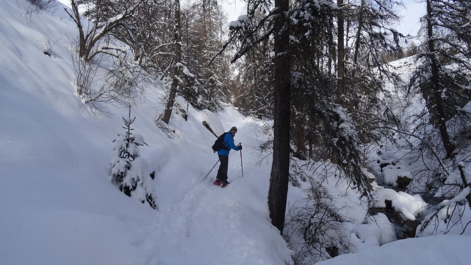 mlouise_dec_2020_009.JPG