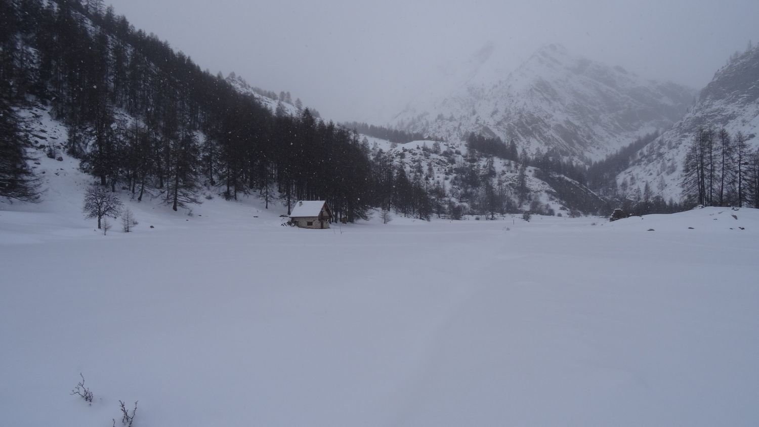 mlouise_dec_2020_016.JPG