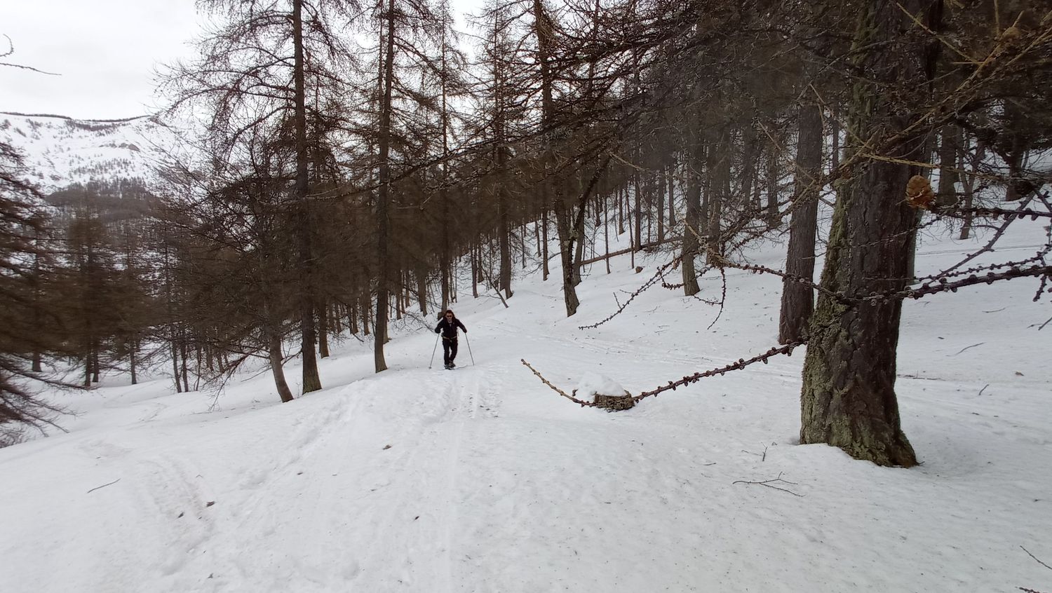 valdemarsr_janv_2021_05.jpg