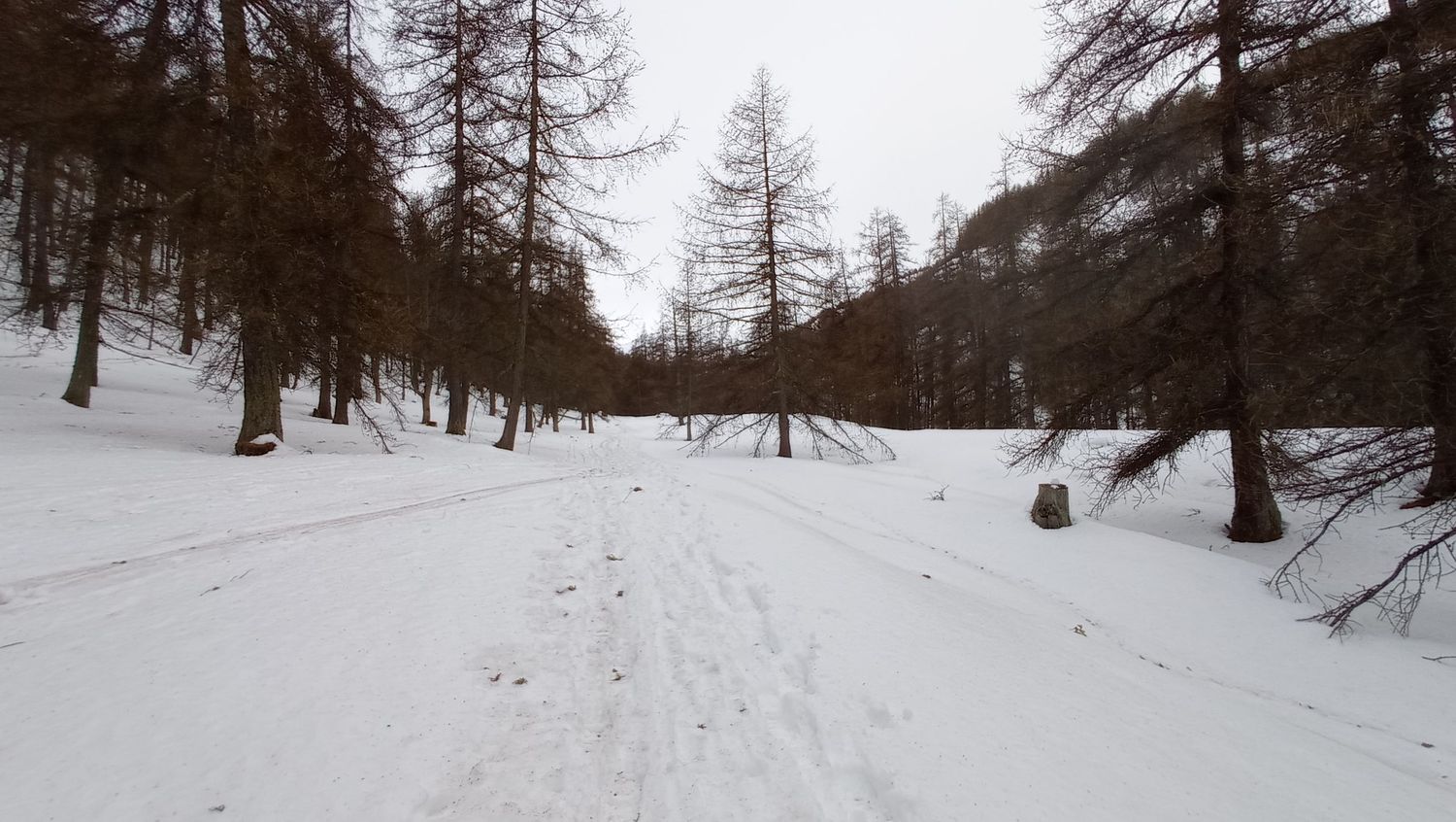 valdemarsr_janv_2021_07.jpg