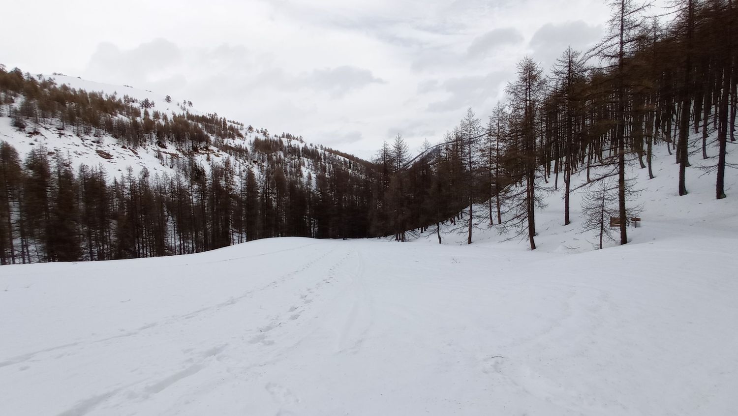 valdemarsr_janv_2021_11.jpg