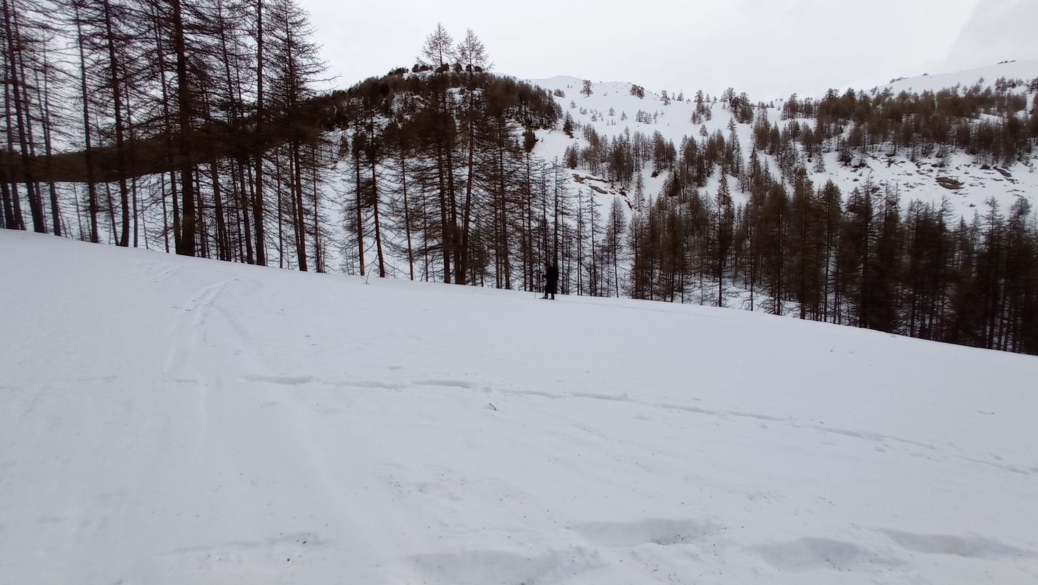 valdemarsr_janv_2021_13.jpg