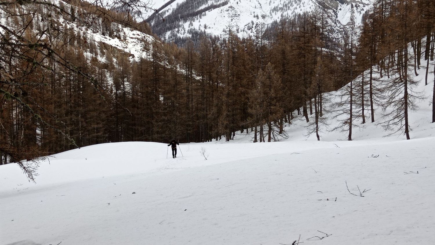 valdemarsr_janv_2021_15.jpg
