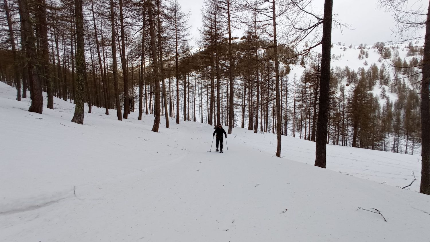 valdemarsr_janv_2021_21.jpg