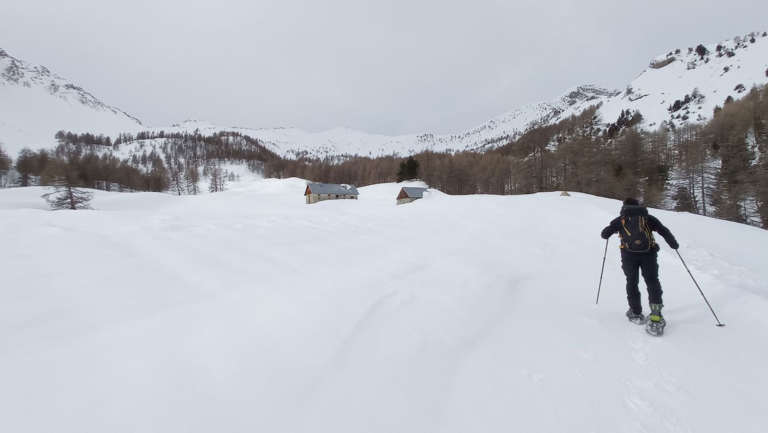 valdemarsr_janv_2021_29.jpg
