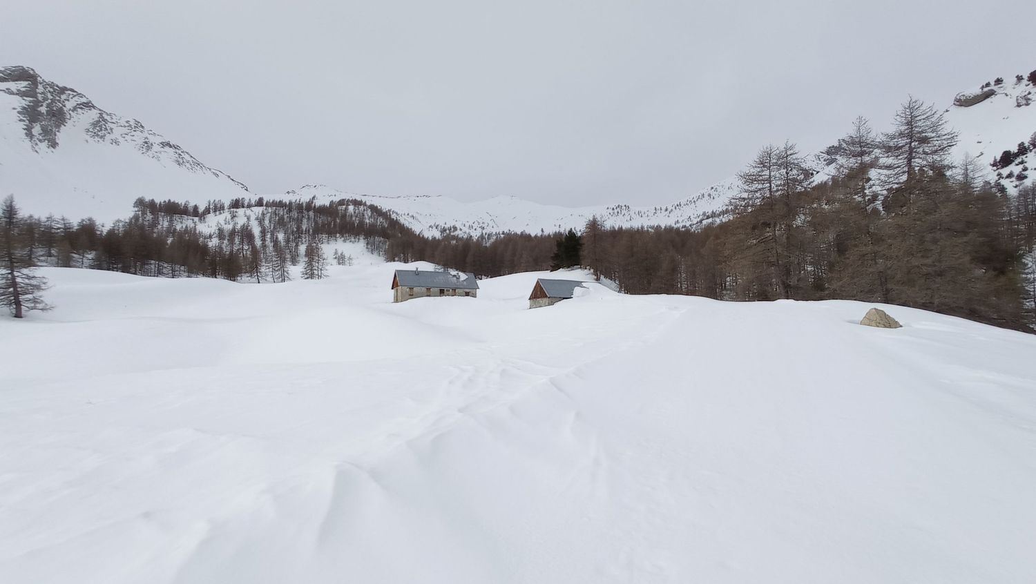 valdemarsr_janv_2021_33.jpg