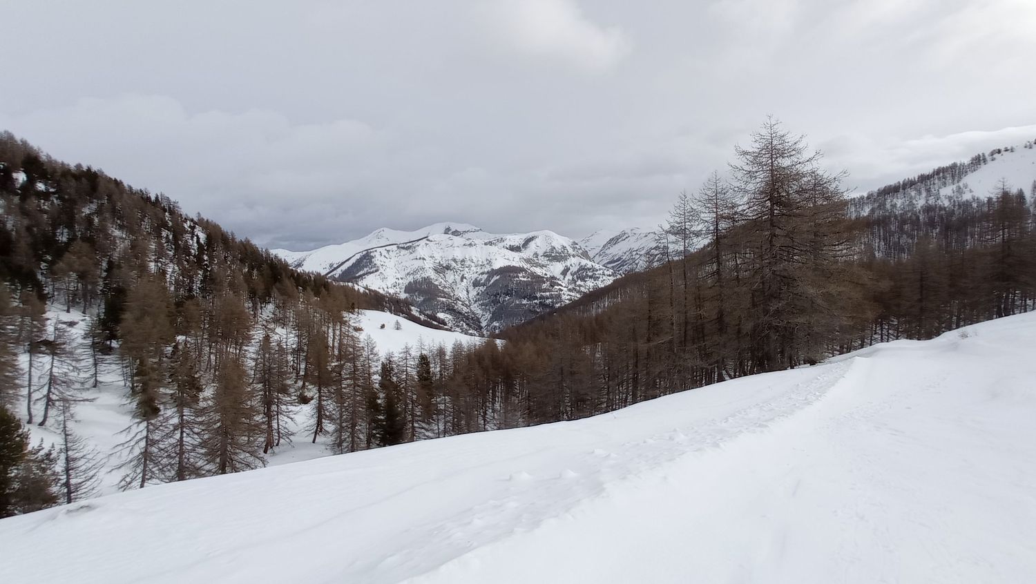 valdemarsr_janv_2021_35.jpg