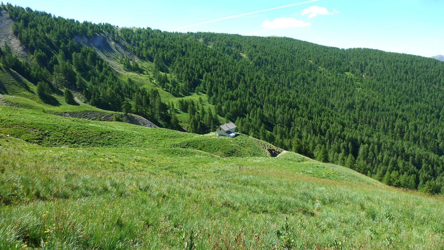 ravin_des_pres_boucheiranc_juin_2017_33.JPG