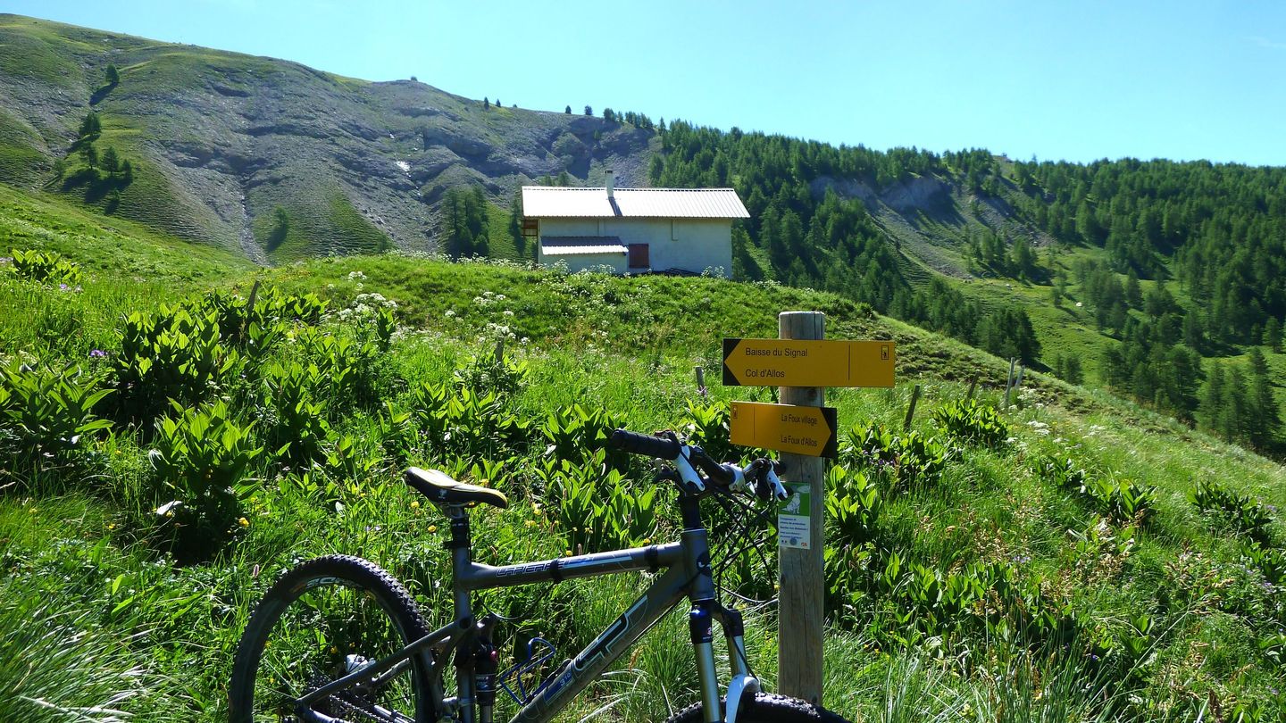 ravin_des_pres_boucheiranc_juin_2017_34.JPG