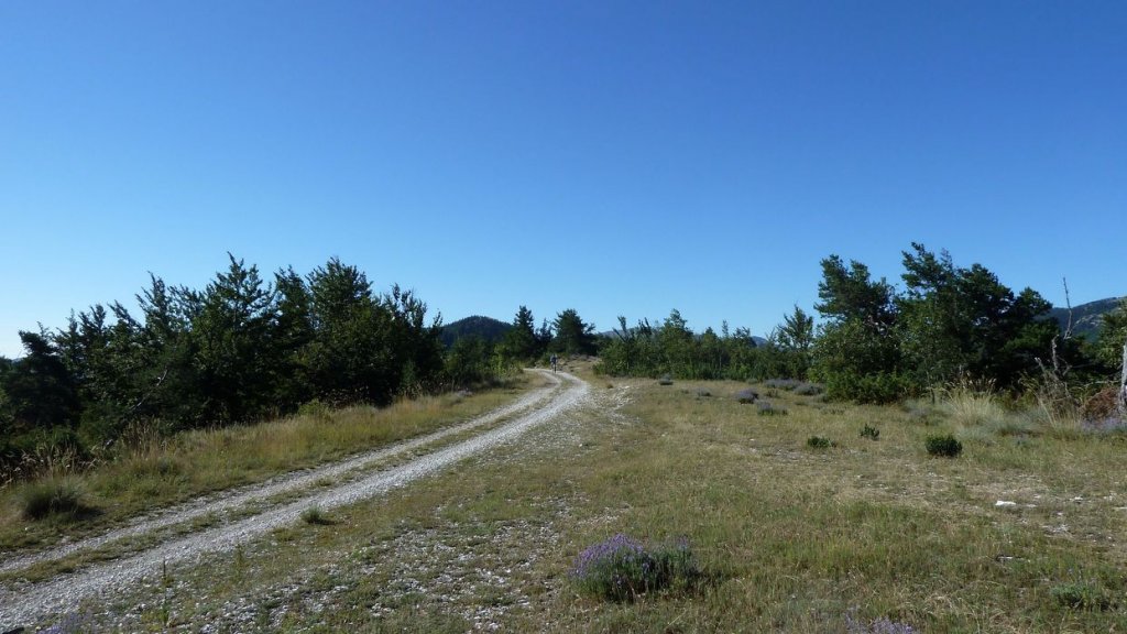 ravin_du_puy_2013_068.jpg