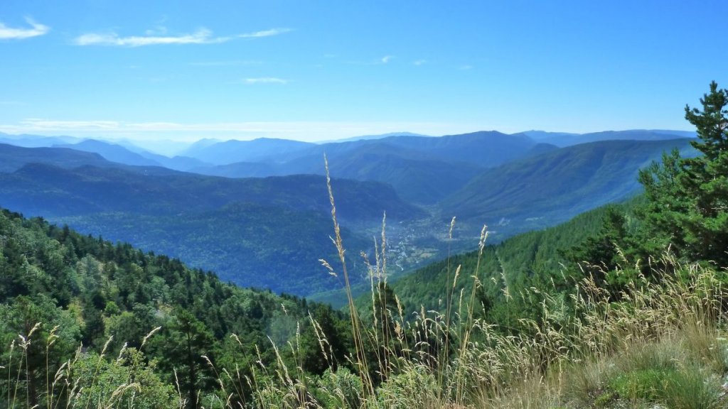 ravin_du_puy_2013_080.jpg