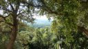 chateau_rocbaron_juillet_2012_014.jpg