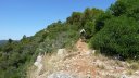 chateau_rocbaron_juillet_2012_086.jpg