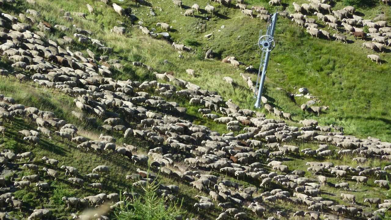 rochegrand_aout_2016_043.JPG