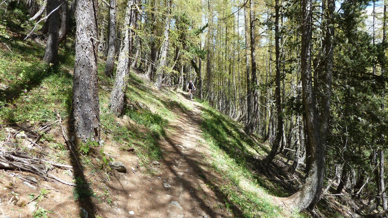 rochegrand_aout_2016_255.JPG