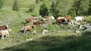 rochegrand_aout_2016_085.JPG
