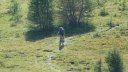 rochegrand_aout_2016_207.JPG