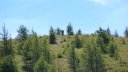 rochegrand_aout_2016_215.JPG