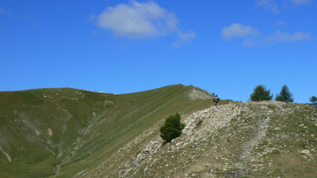 rougnouse_2013_036.jpg
