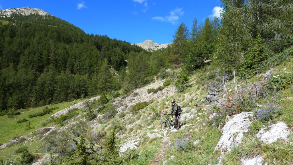 rougnouse_2013_116.jpg