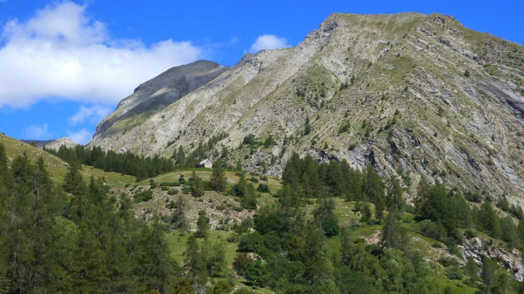 rougnouse_2013_138.jpg