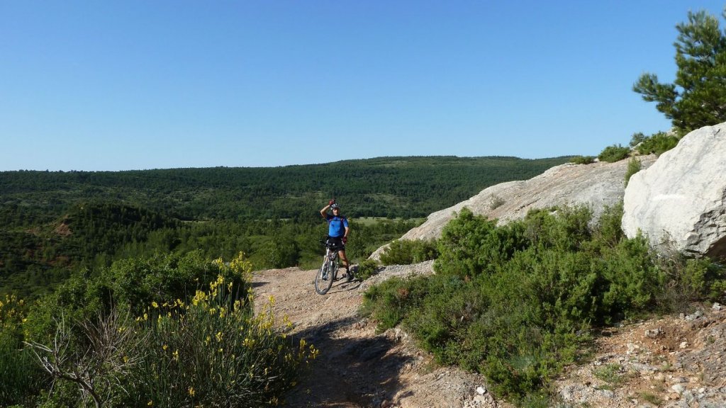 sainte_victoire_juin_2013_082.jpg