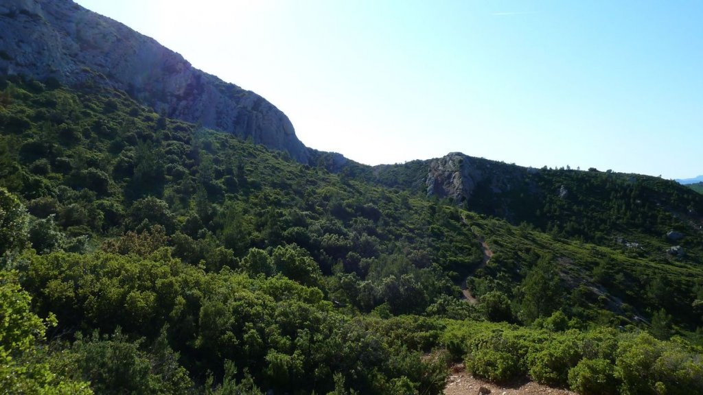 sainte_victoire_juin_2013_092.jpg