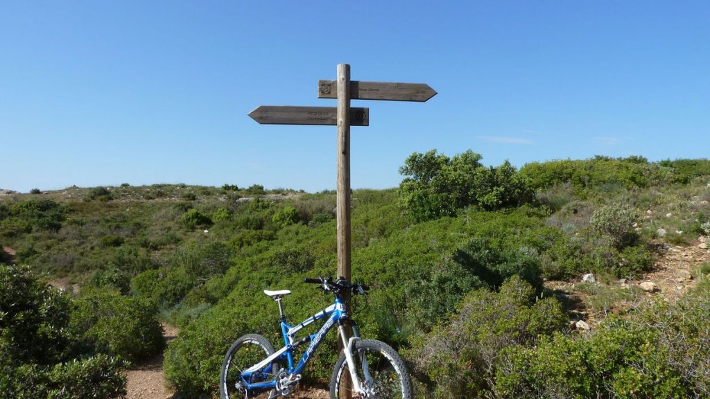 sainte_victoire_juin_2013_144.jpg