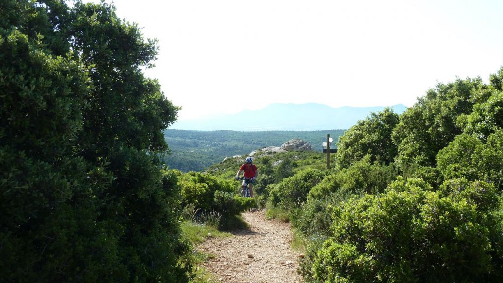 sainte_victoire_juin_2013_150.jpg