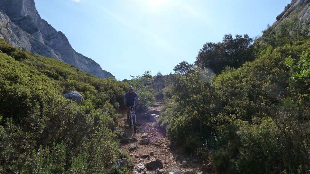 sainte_victoire_juin_2013_158.jpg