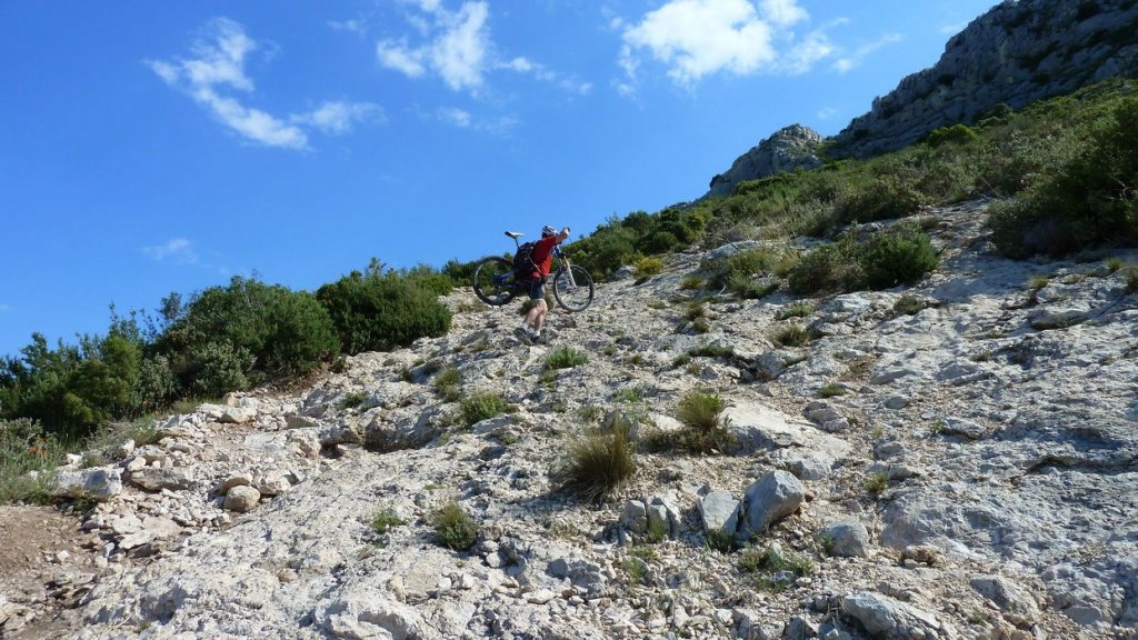 sainte_victoire_juin_2013_208.jpg