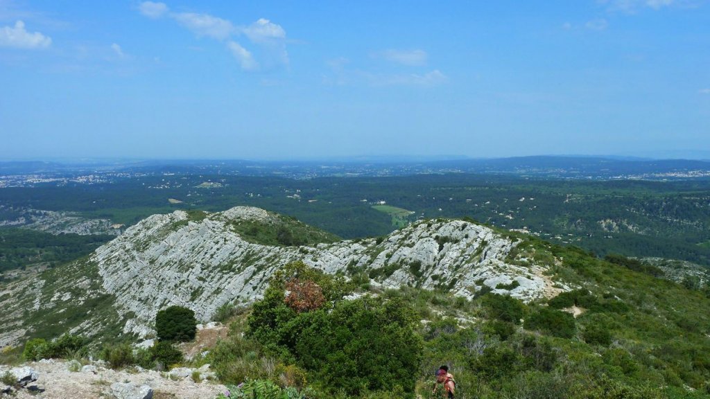 sainte_victoire_juin_2013_248.jpg