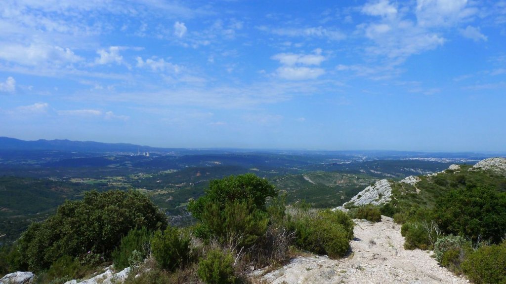sainte_victoire_juin_2013_258.jpg