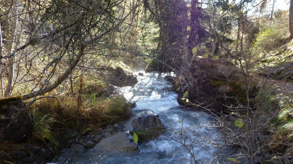cabane_sangraure_2012_004.jpg