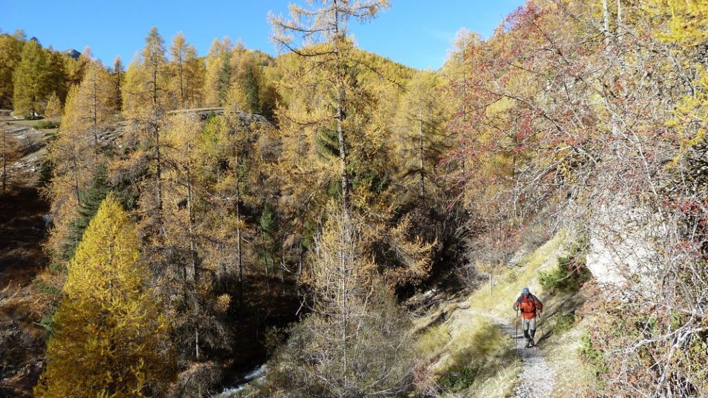 cabane_sangraure_2012_016.jpg