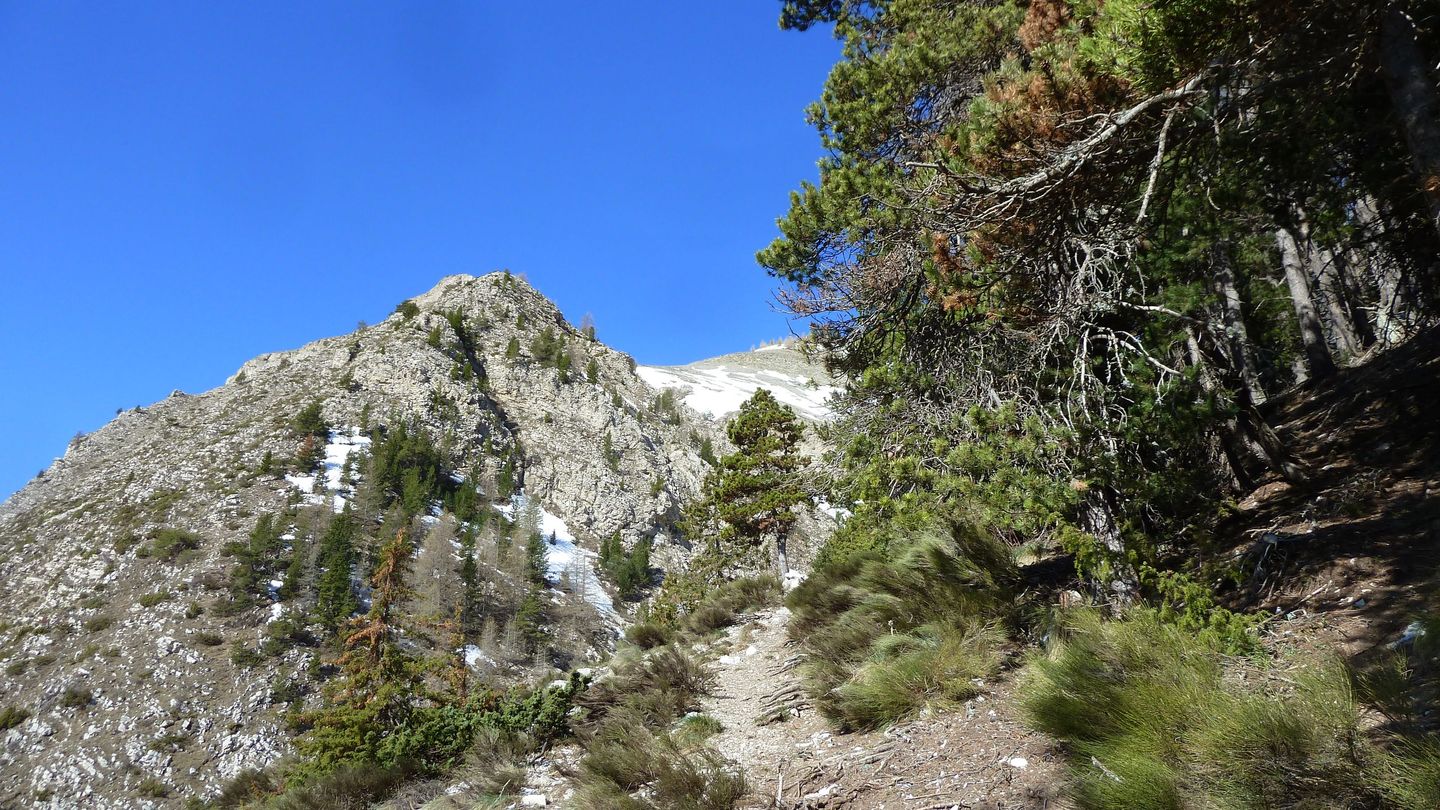 la_sellanche_avril_2018_035.JPG