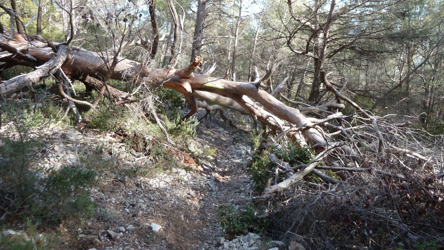 sentier_bagnards_fev_2018_043.JPG
