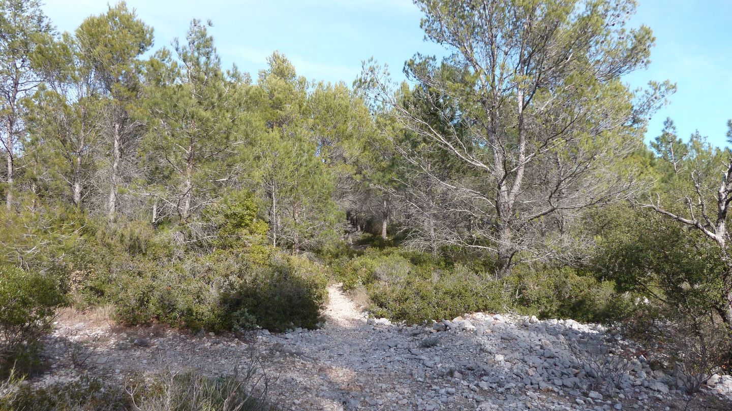 sentier_bagnards_fev_2018_09.JPG