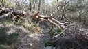 sentier_bagnards_fev_2018_043.JPG