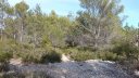 sentier_bagnards_fev_2018_09.JPG