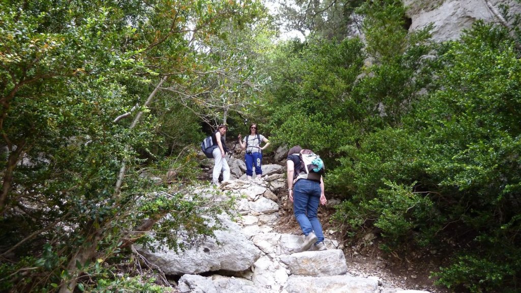 P1110394.JPG