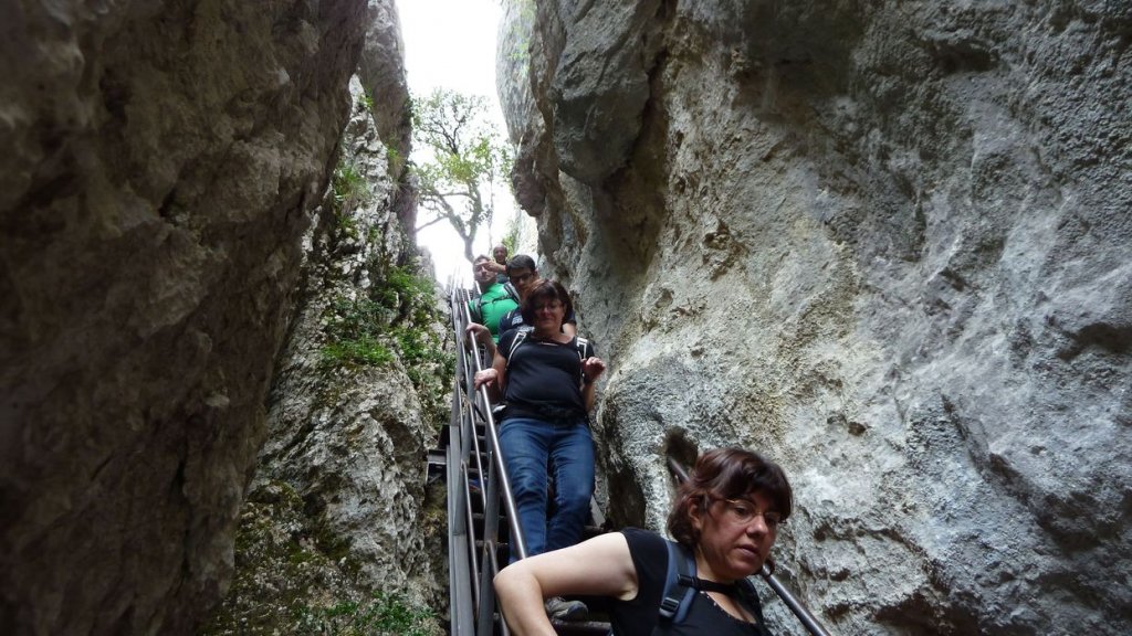 P1110414.JPG
